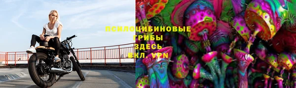 каннабис Зеленокумск