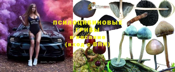соль ск Зерноград