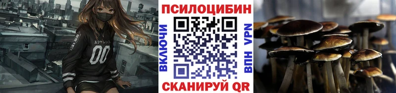 Псилоцибиновые грибы Magic Shrooms  Купить  Пустошка 