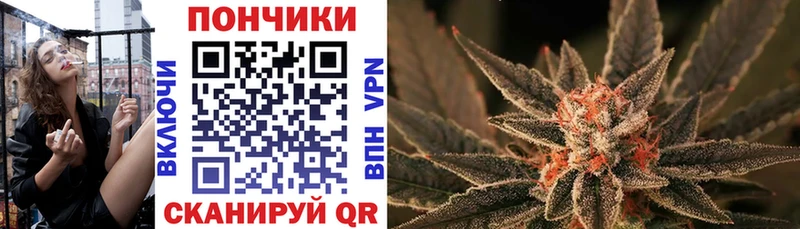 Купить закладки  Пустошка  Марихуана SATIVA & INDICA 
